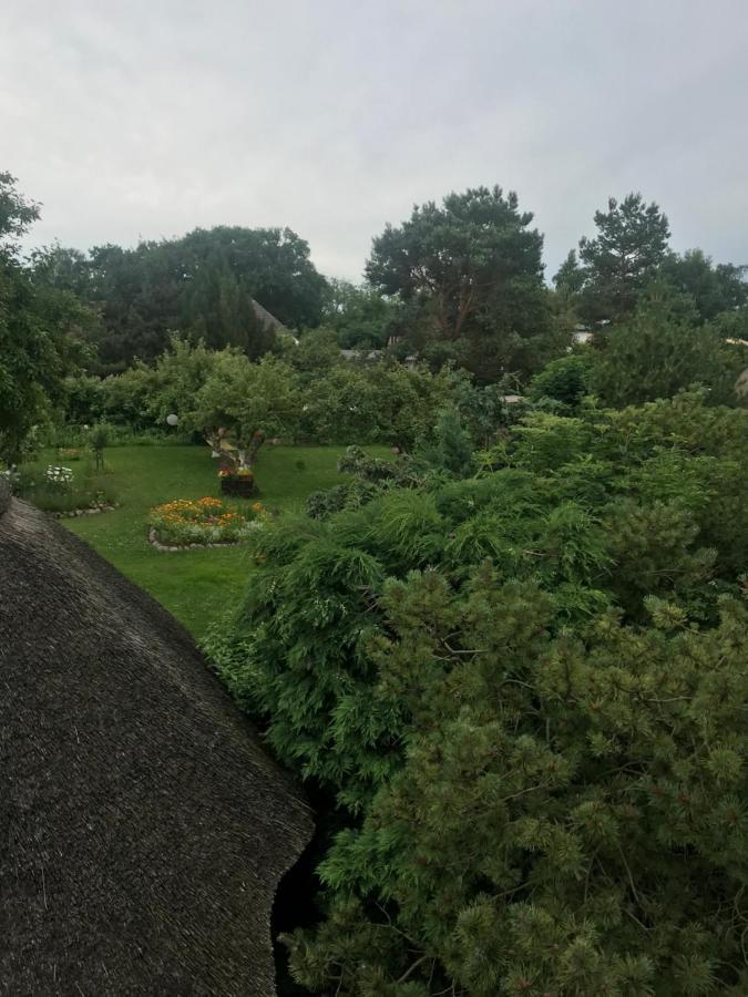 Hering Fewo II Apartment Balcony Wiek auf Rugen Bagian luar foto