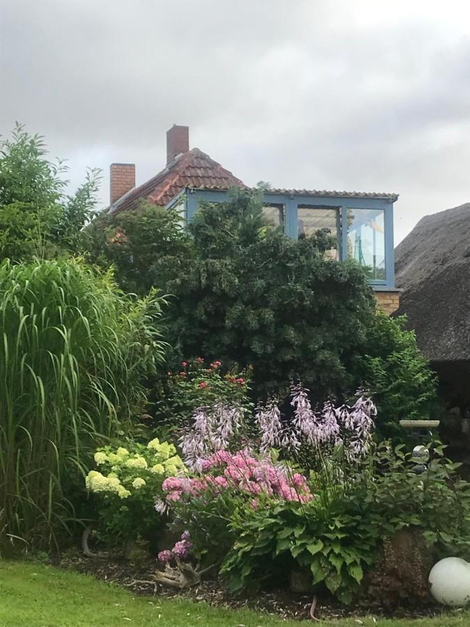 Hering Fewo II Apartment Balcony Wiek auf Rugen Bagian luar foto